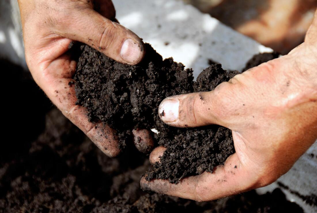 man putting some fertilization on the soil