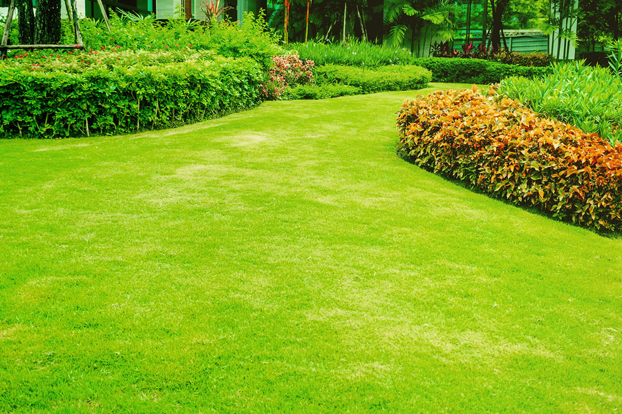 Lawn Care Service Tracy Ca, Landscaping Tracy Ca